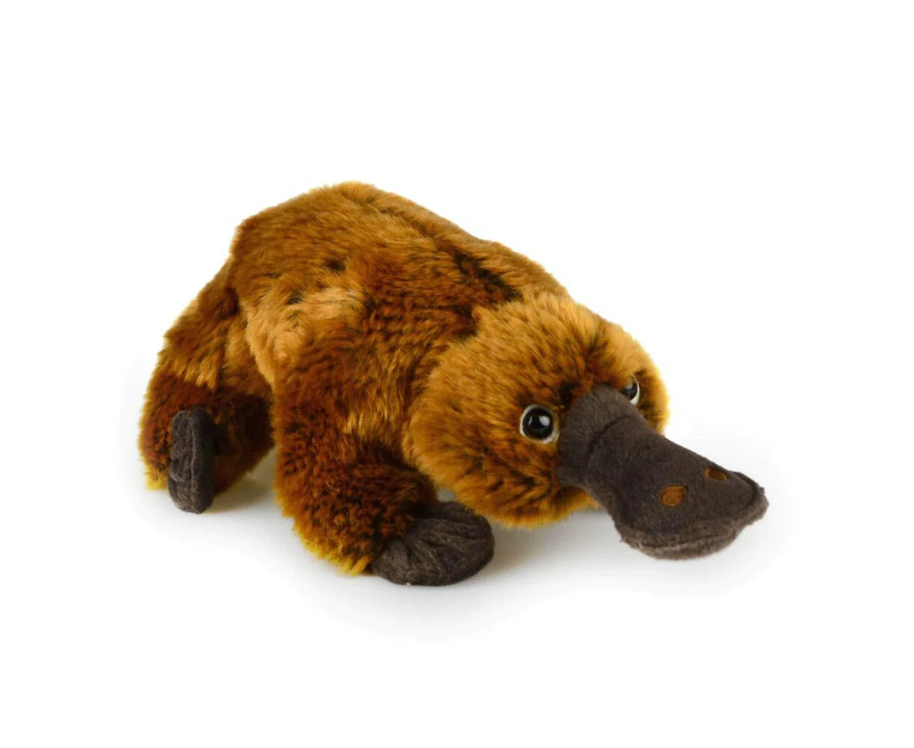 33Cm Souvenir Platypus Delux Soft Toy Plush Kids/Children 3Y+ Brown